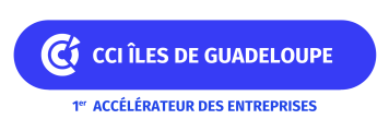 logo salon de la beauté