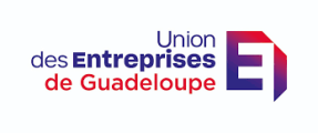 Logo UDE MEDEF Guadeloupe